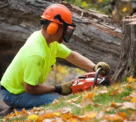 tree services Merryville